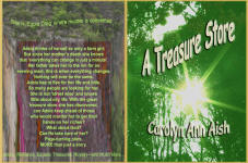 A Treasure Store By Carolyn Ann Aish