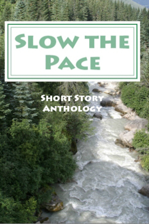Slow the Pace - Scribes Valley 2015 Contest Winners