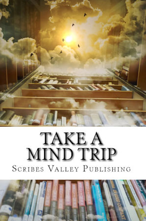 Take A Mind Trip - Scribes Valley 2017 Contest Winners