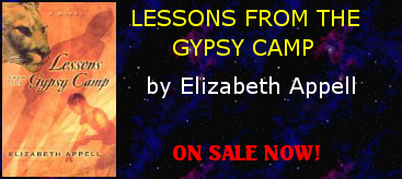 Lessons From the Gypsy Camp by Elizabeth Appell