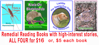 4 Remedial Reading Books