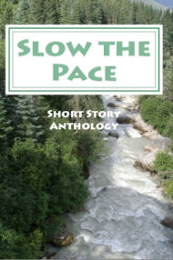 SLOW THE PACE - 2015 Writing Contest Anthology